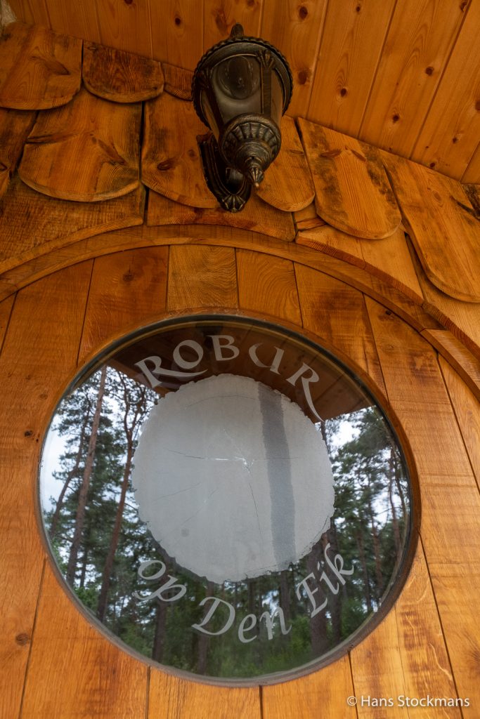 Weerspiegeling van dennen in het venster van Roburs voordeur.