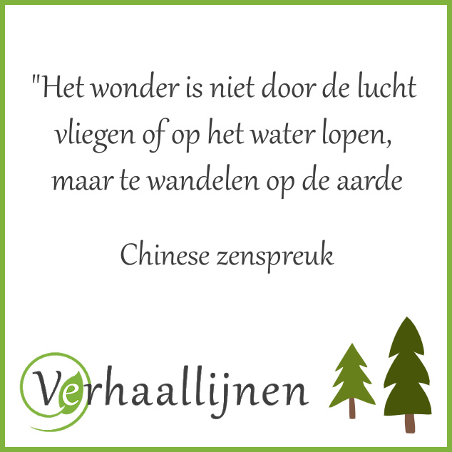 Chinese zenspreuk over het wonder van andelen