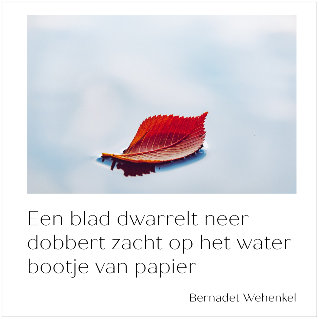 Haïku met als tekst: Een blad dwarrelt neer, dobbert zacht op het water, bootje van papier.