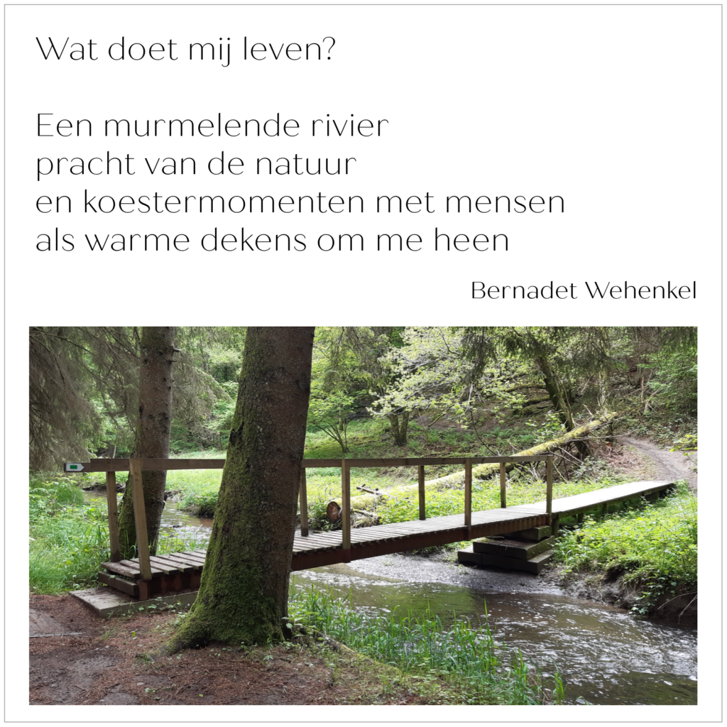 Gedicht: Wat doet mij leven?